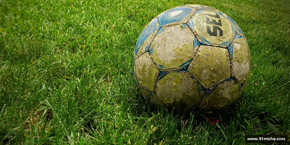 认识好博(中国)体育